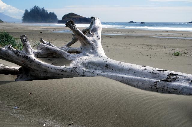 Schooner Cove Trail