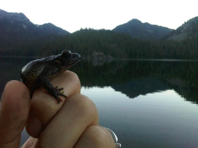 Callaghan Lake Trail