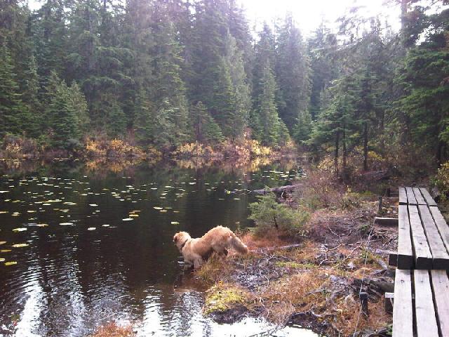 Lost Lake