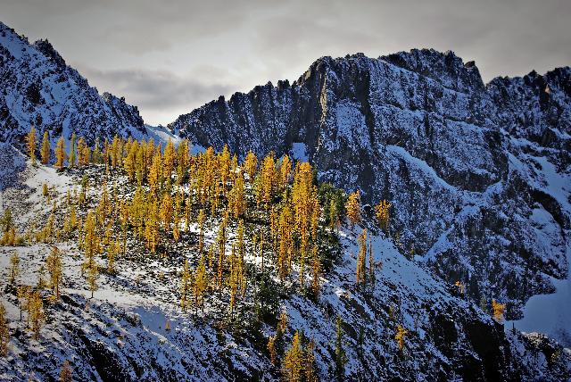 Frosty Mountain Trail