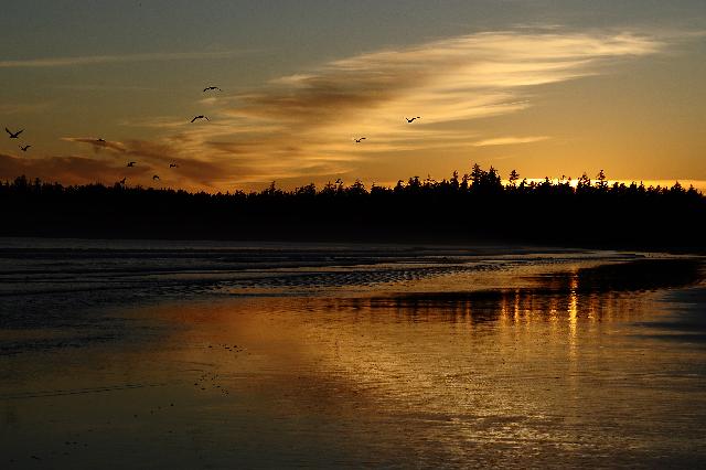 Greene Point Campground