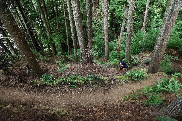 Juan De Fuca Marine Trail