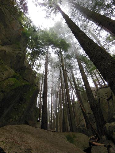 Stawamus Chief Provincial Park.