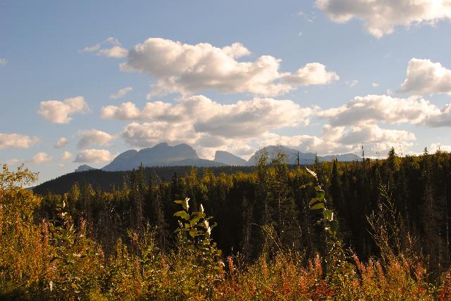 Monkman Trail (The Cascades)