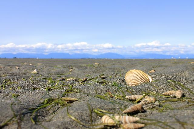 Boundary Bay Regional Park