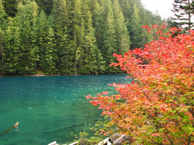 Lindeman Lake