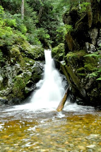 Brothers Creek Loop