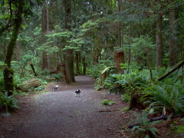 Traboulay Trail