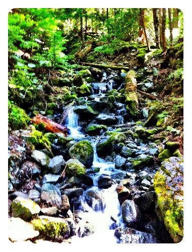 Garibaldi Lake Trail