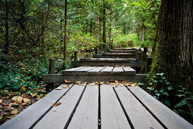 Shoreline Trail