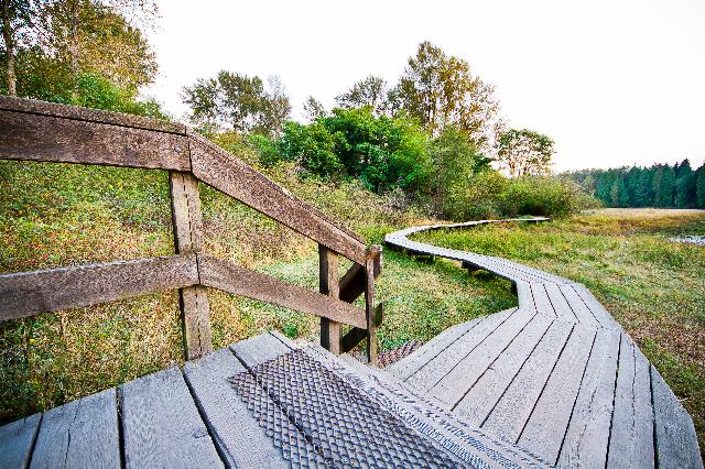 Shoreline Trail