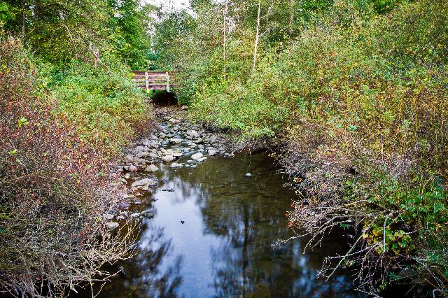 Shoreline Trail