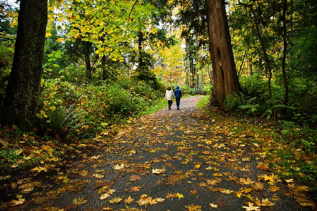 Stanley Park