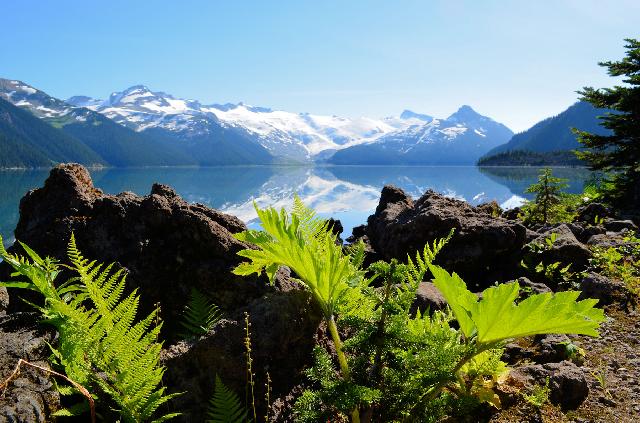 Garibaldi Lake