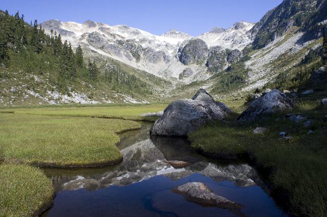 Brandywine Meadows