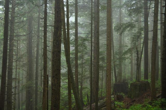 Brothers Creek Loop