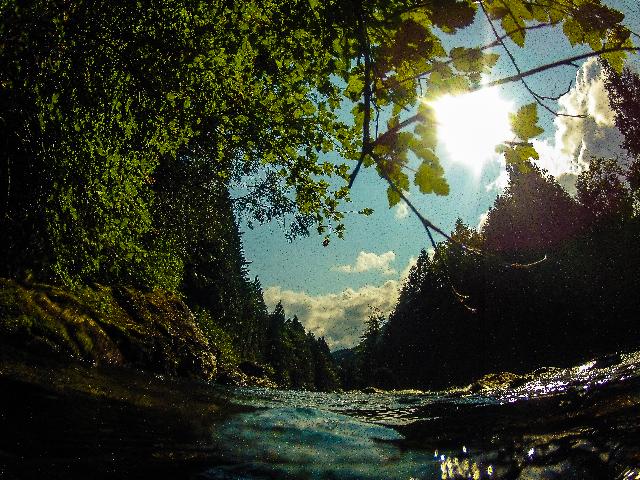 Gold Creek Falls Trail