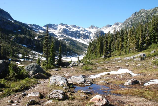 Brandywine Meadows