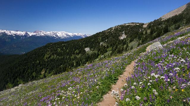 High Note Trail