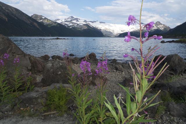 Garibaldi Lake