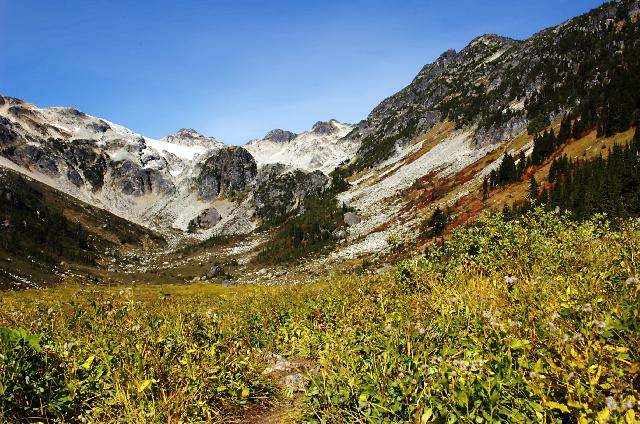 Brandywine Meadows