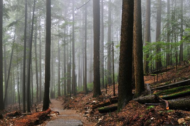 Grouse Grind Trail