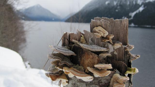 Chilliwack Lake