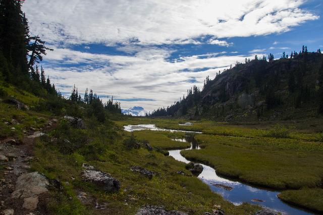 Brandywine Meadows