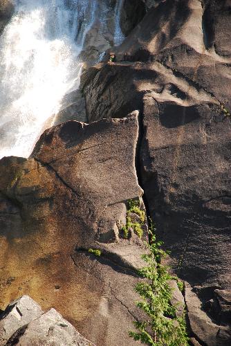 Upper Shannon Falls