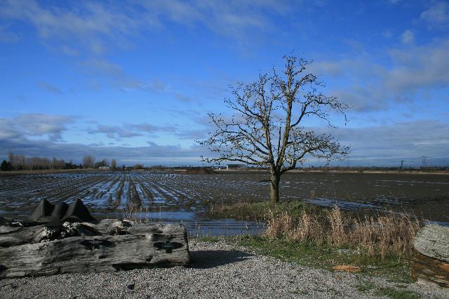 Delta Dyke Trail/boundary Bay