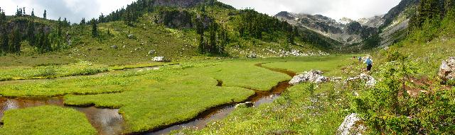 Brandywine Meadows