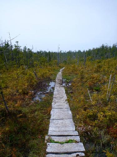 West Coast Trail