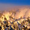 Mt Seymour Trail