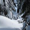 Mt Seymour