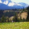 Manning Park Look Out