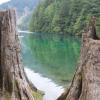 Lindeman Lake