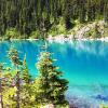 Garibaldi Lake