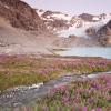 Wedgemount Lake trail