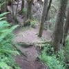 Juan De Fuca Trail