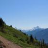 Elk and Thurston Mountain