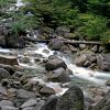 Shannon Falls