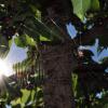 Okanagan Lake Provincial Park Trail