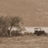 Okanagan Lake Provincial Park Trail