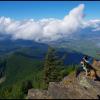 Elk Thurston Trail