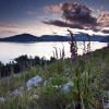 Howe Sound Crest Trail