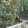 Baden Powell Trail, Deep Cove