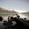 Garibaldi Lake