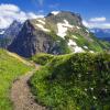 Mt. Cheam Trail