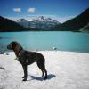 Joffre Lakes