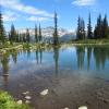 Harmony Lake Trail